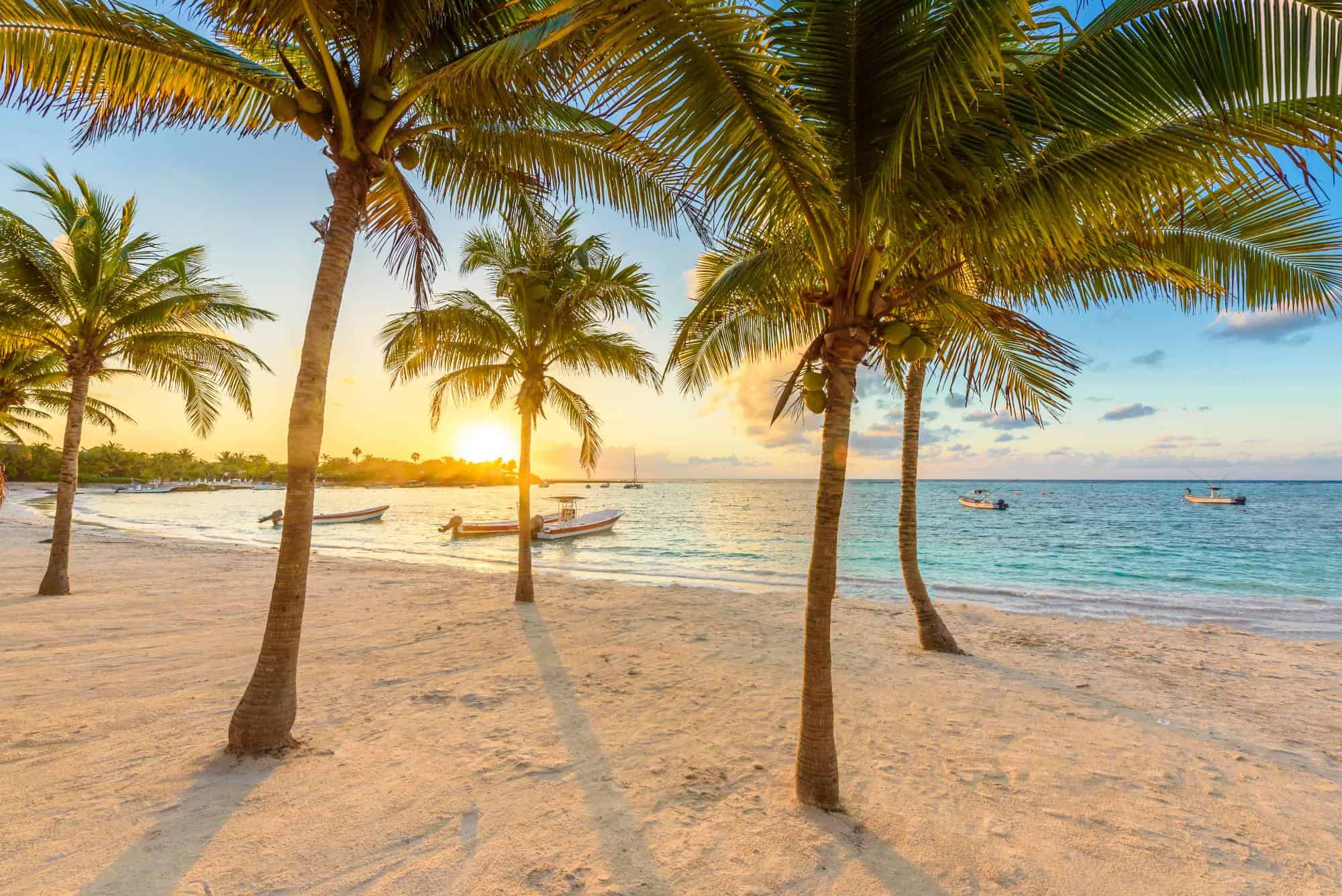 Living in the Yucatan