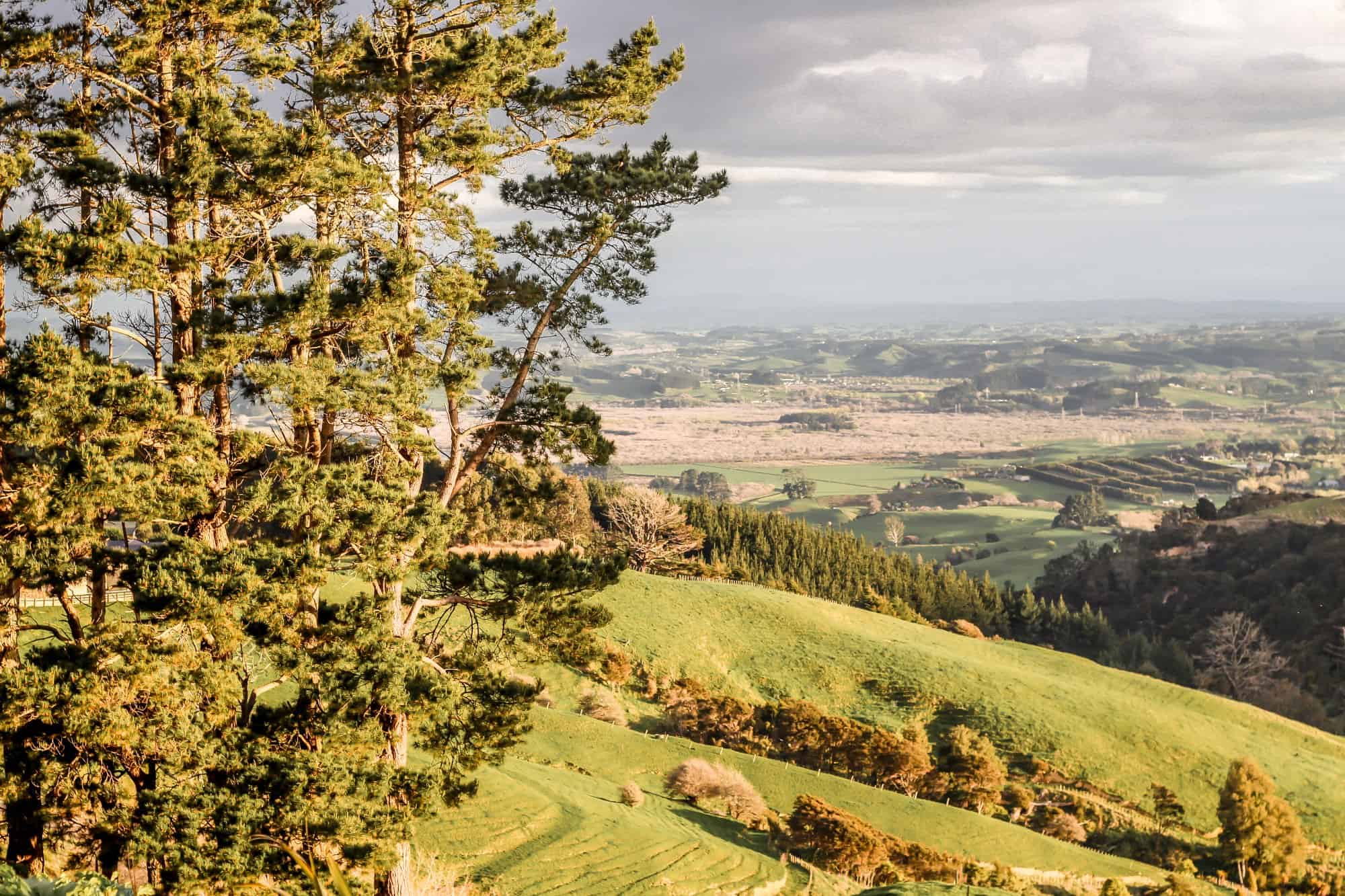 Views over the Bombay Hills, Auckland