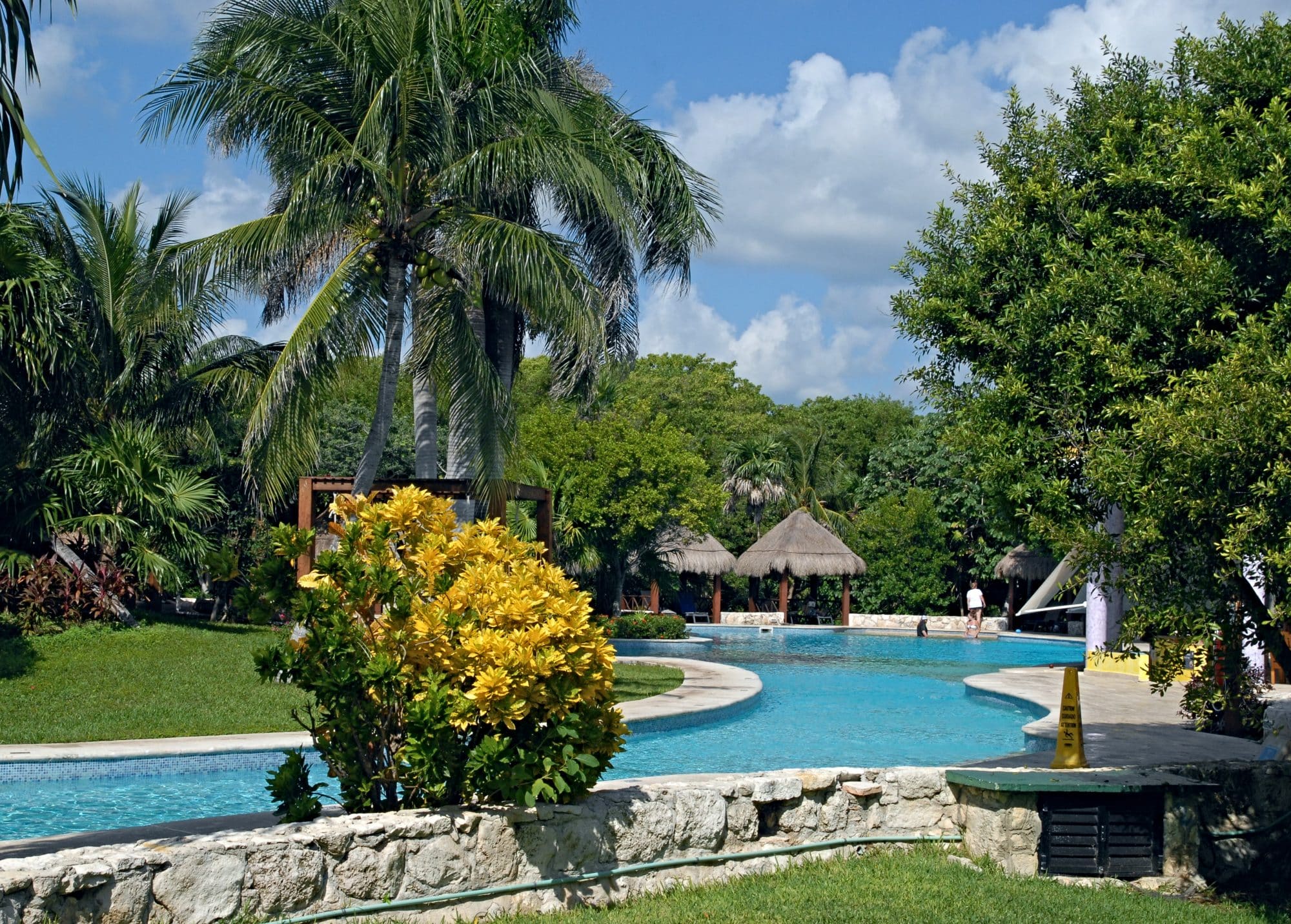 A lush garden with cacti, palms, water features and tropical plants.