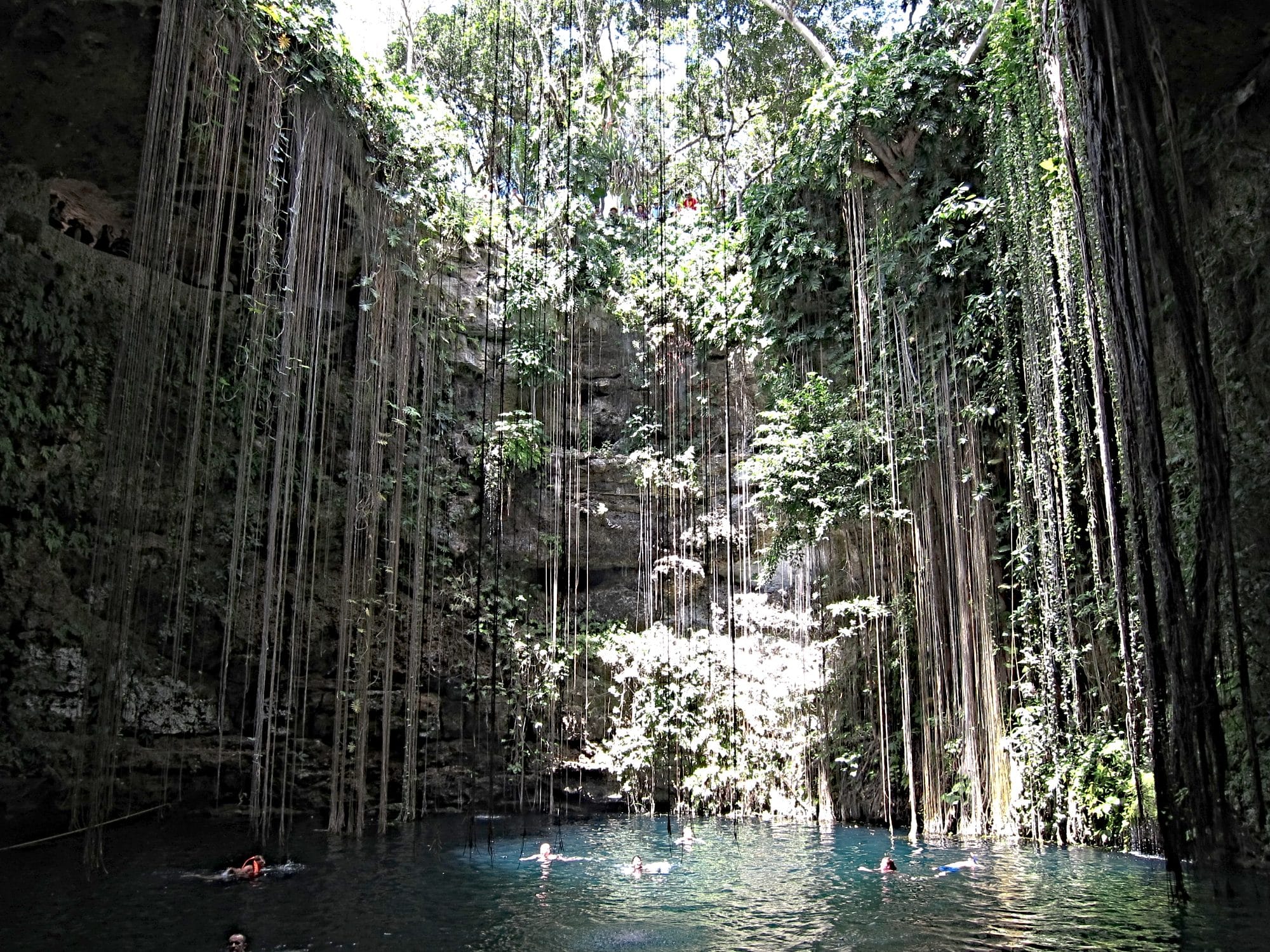 A sinkhole on the Yucatán Peninsula adorned with mini waterfalls and hanging vines.