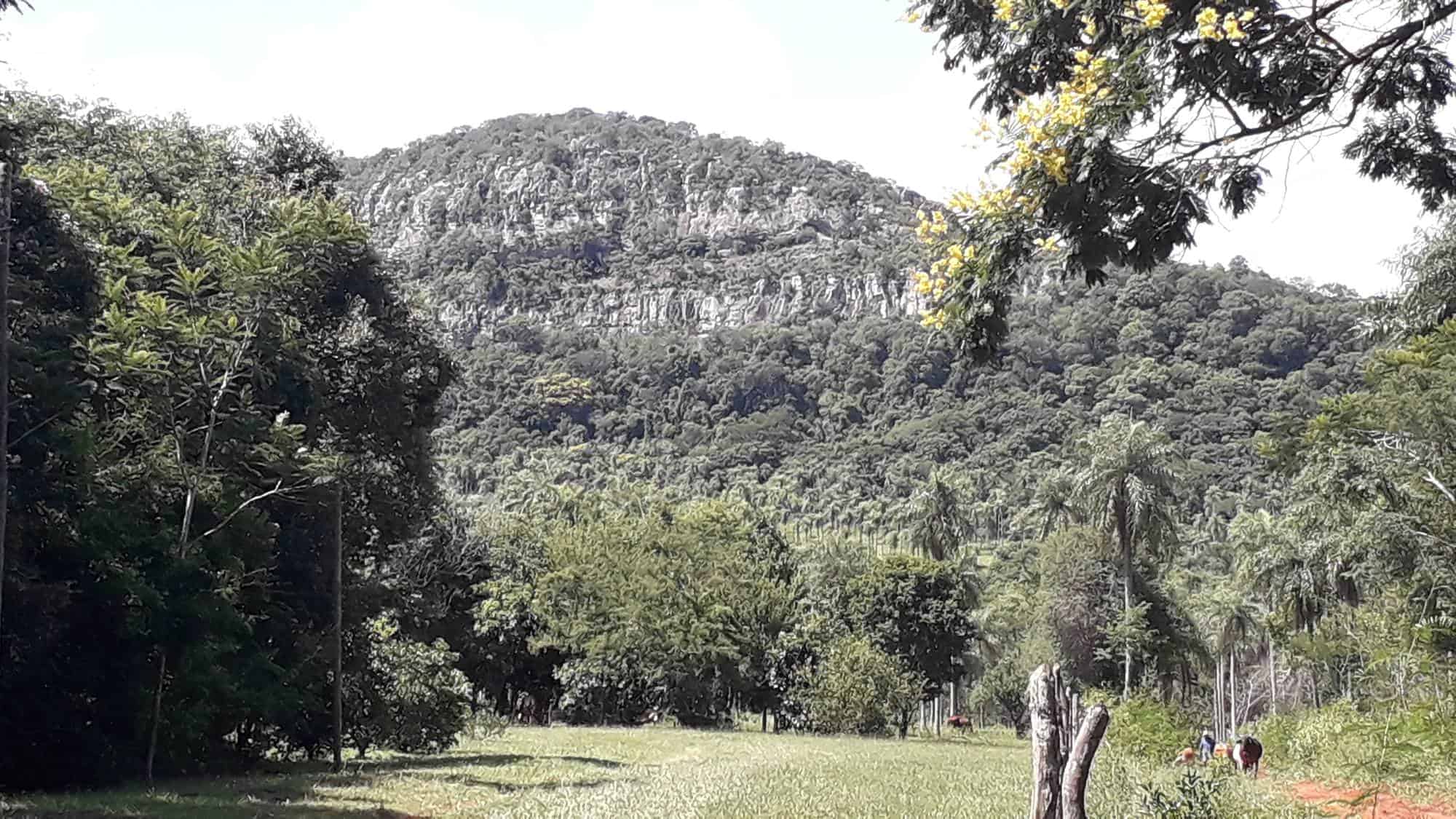 Living in Piribebuy