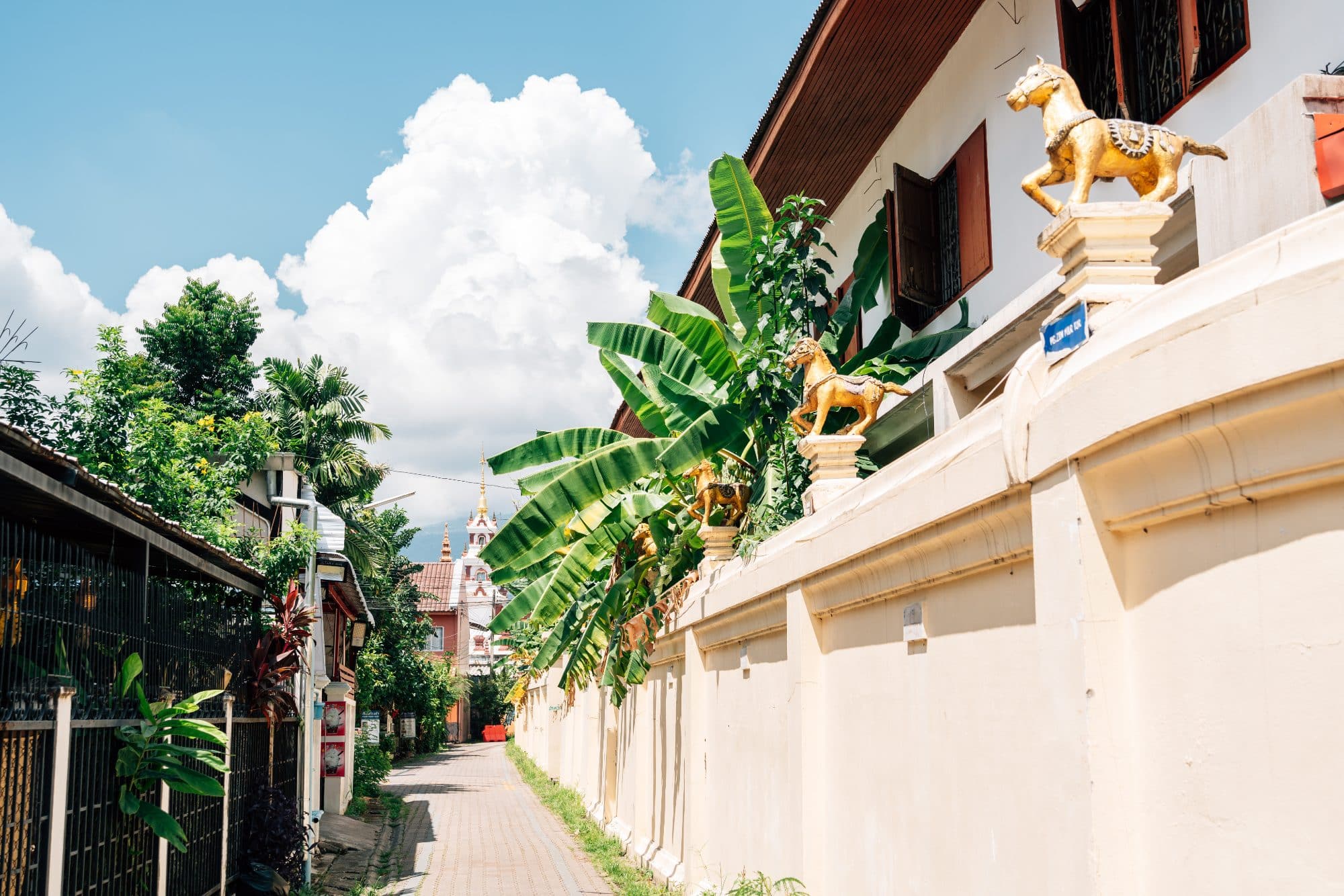 Chiang Mai old city pretty alleyway with private houses and tiny balcony gardens