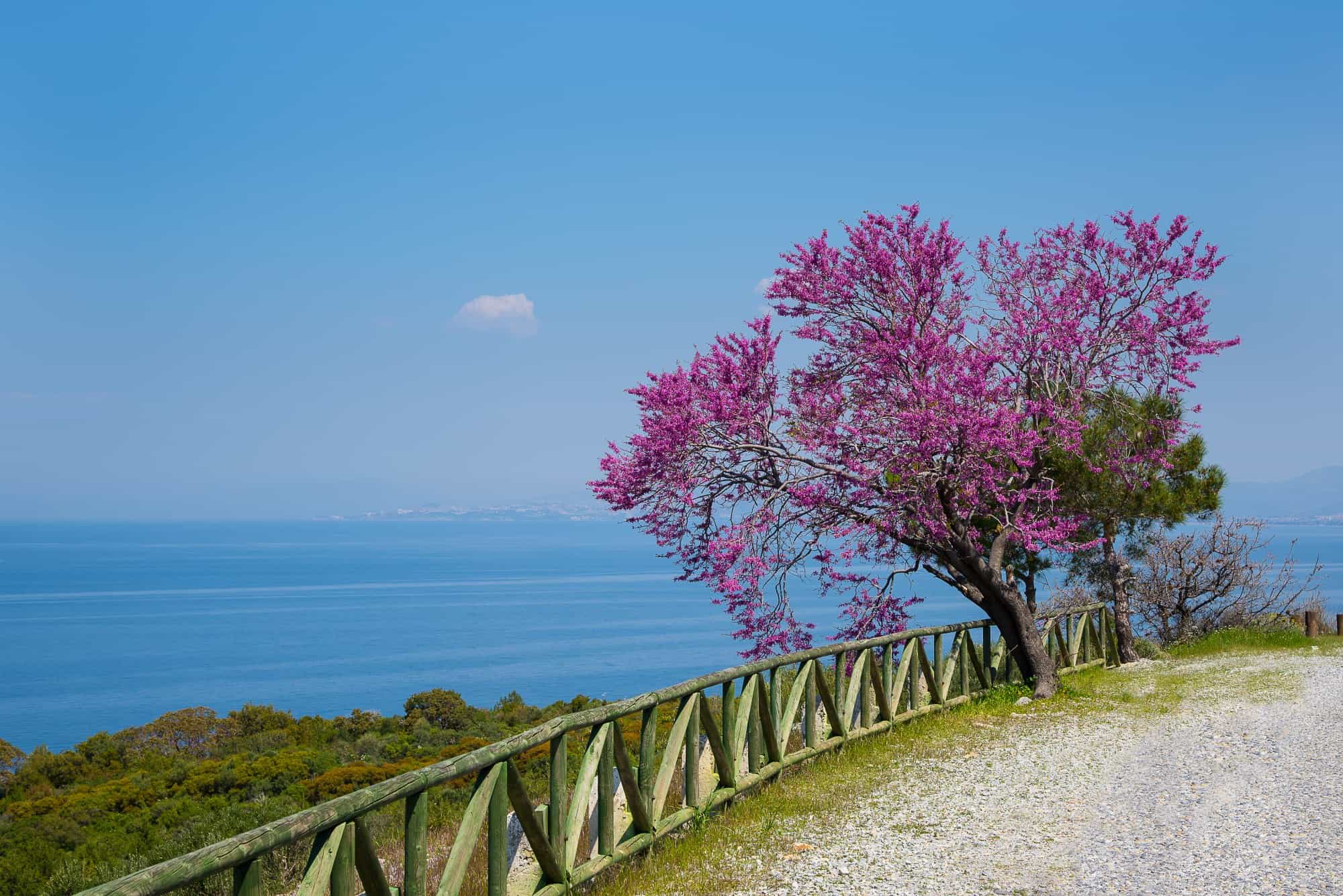 Dilek National Park near Kusadasi, Turkey