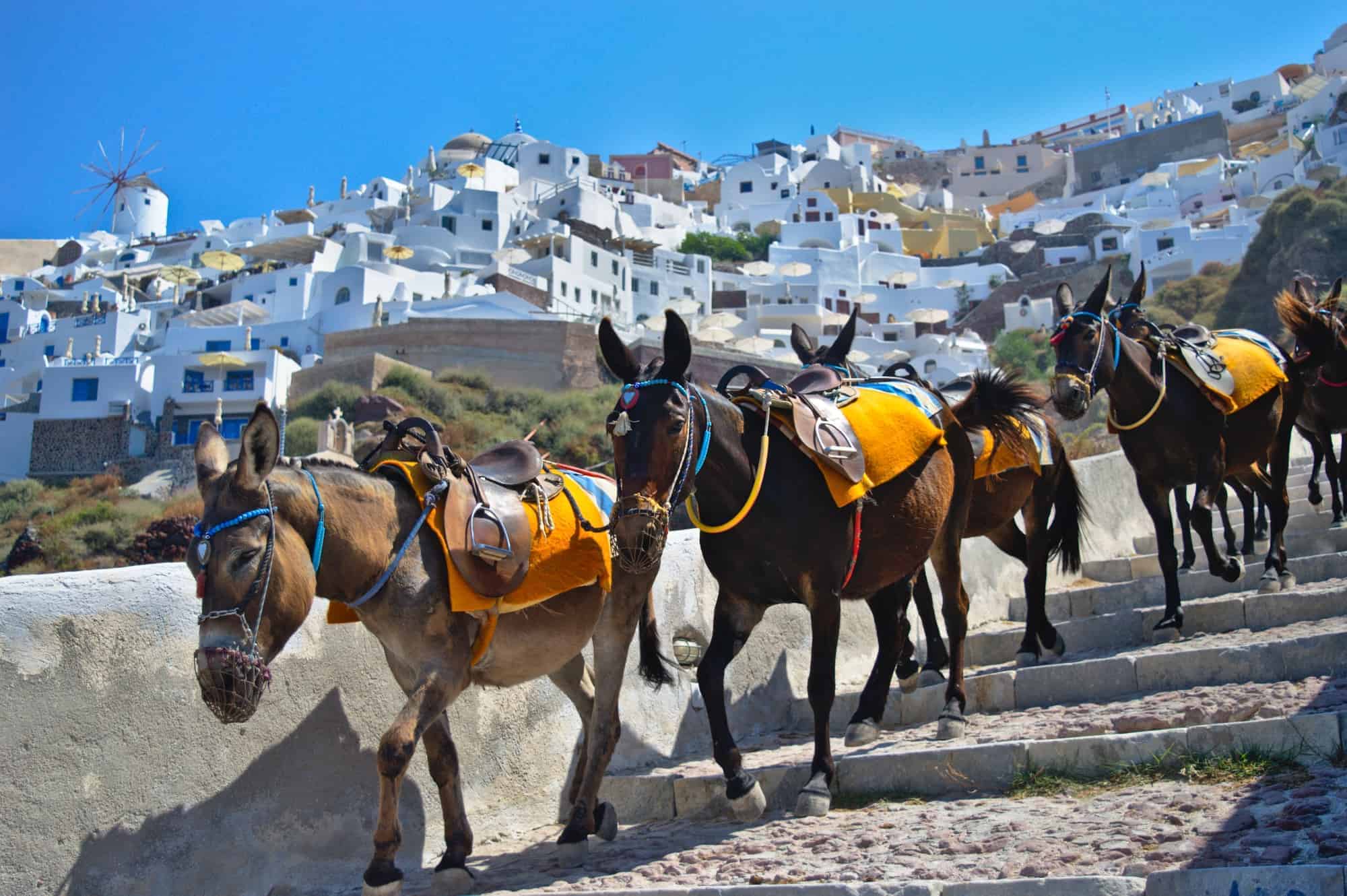 Living in Santorini