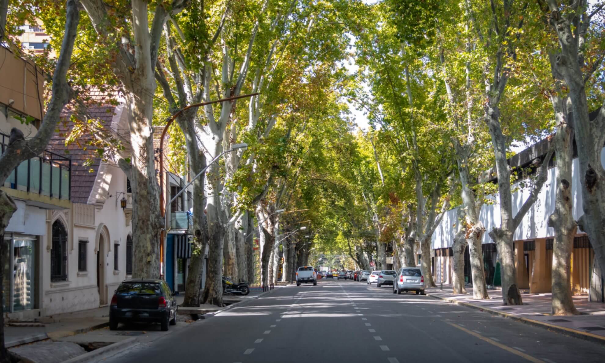 A leafy and green street in downtown Mendoza with low buildings on both side and a few cars parked along