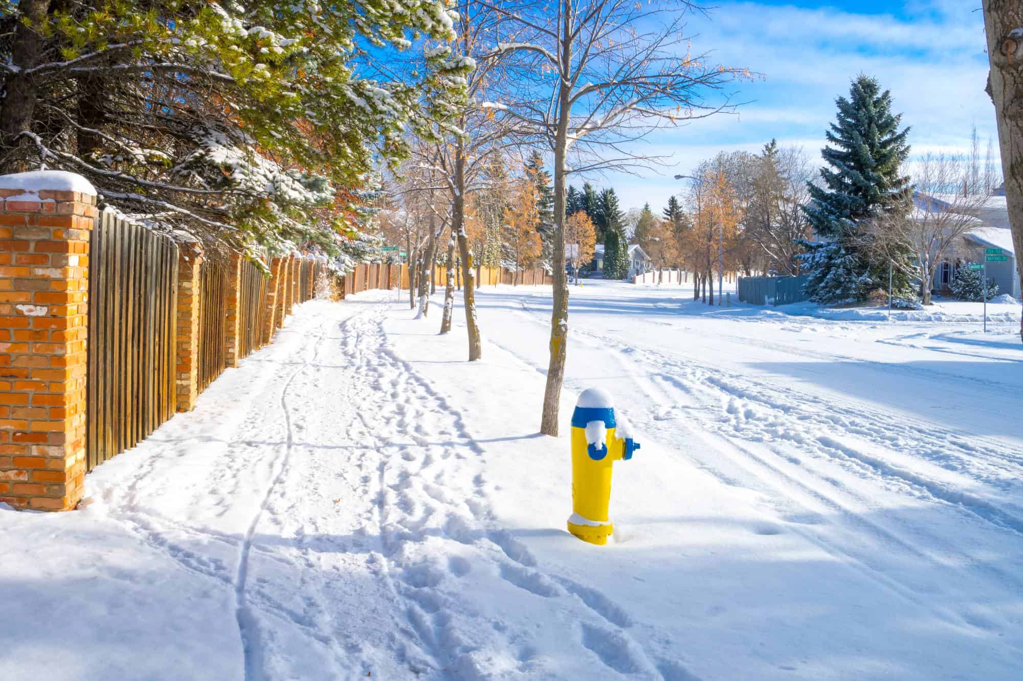 Winter days in Edmonton