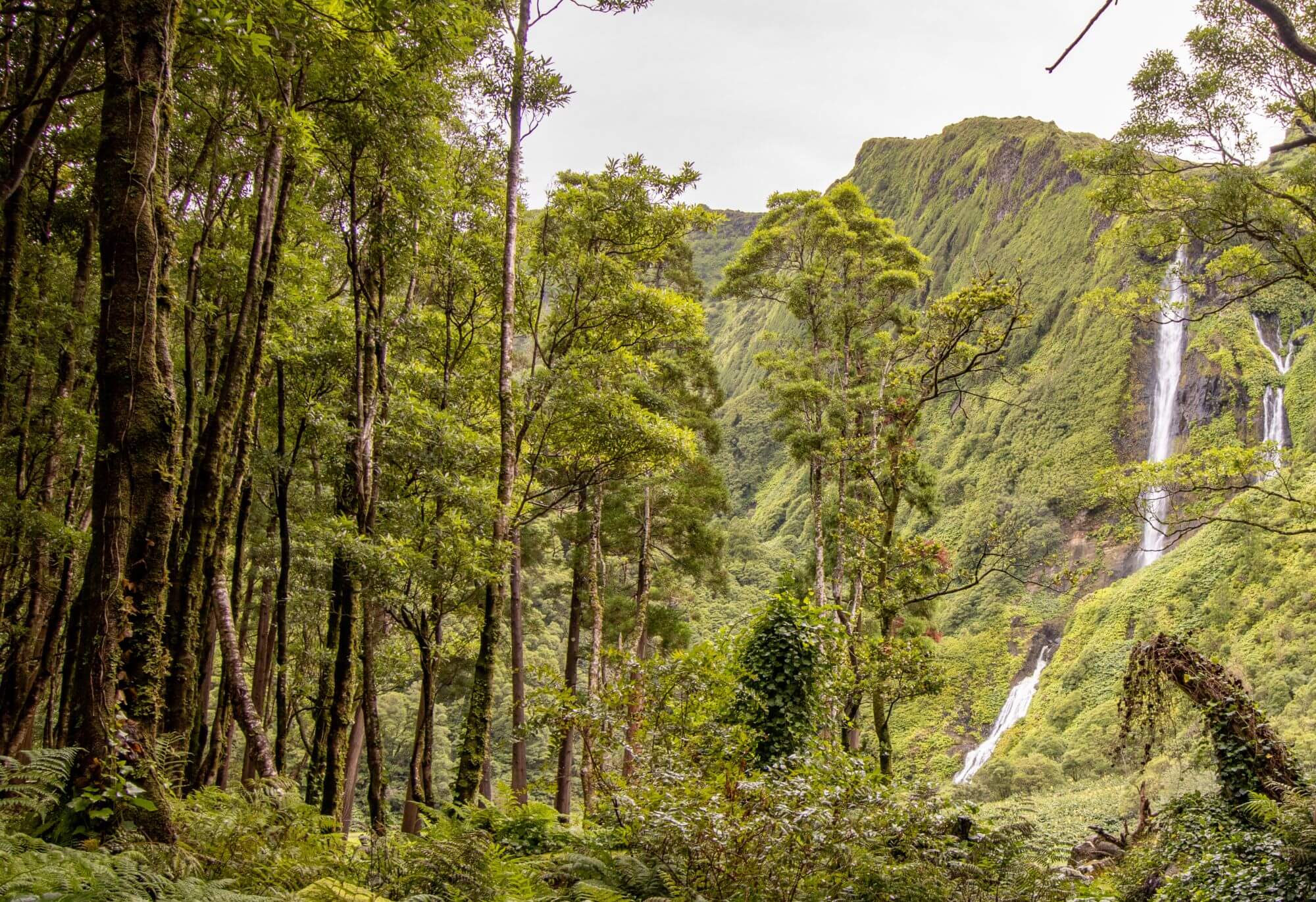 Poco Da Ribeira Do Ferreiro Waterfalls On Flores Island in the Azores