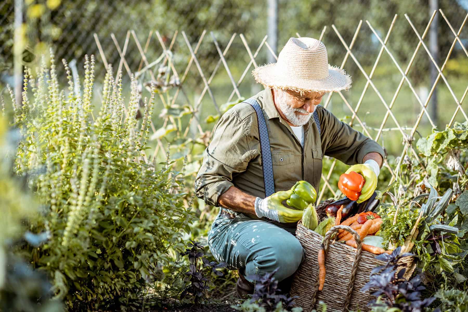 Healthiest climate is also good for gardening