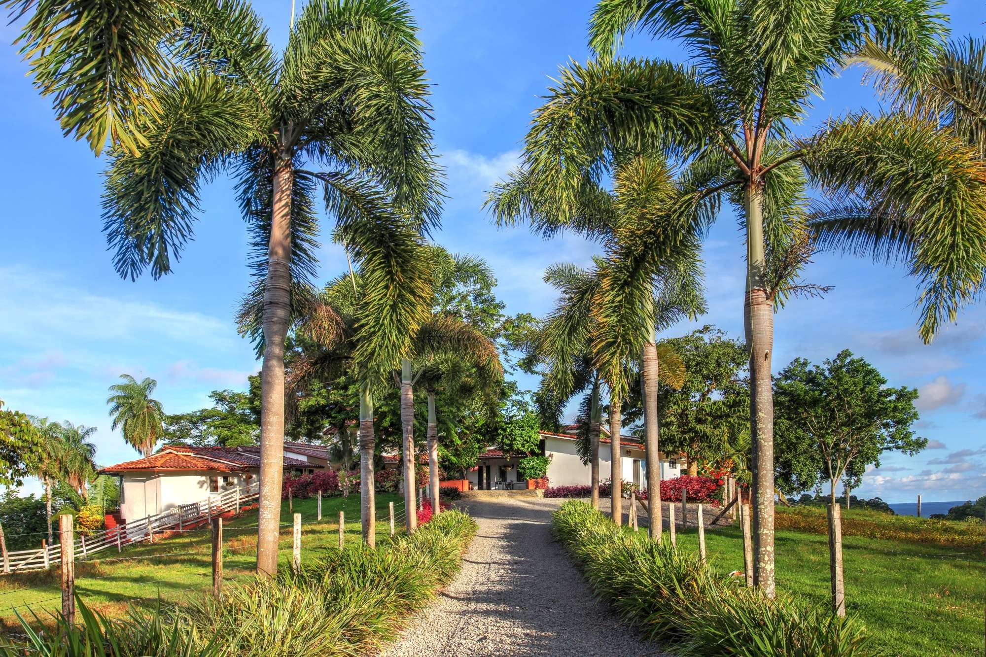 Isla Boca Brava, Chiriqui