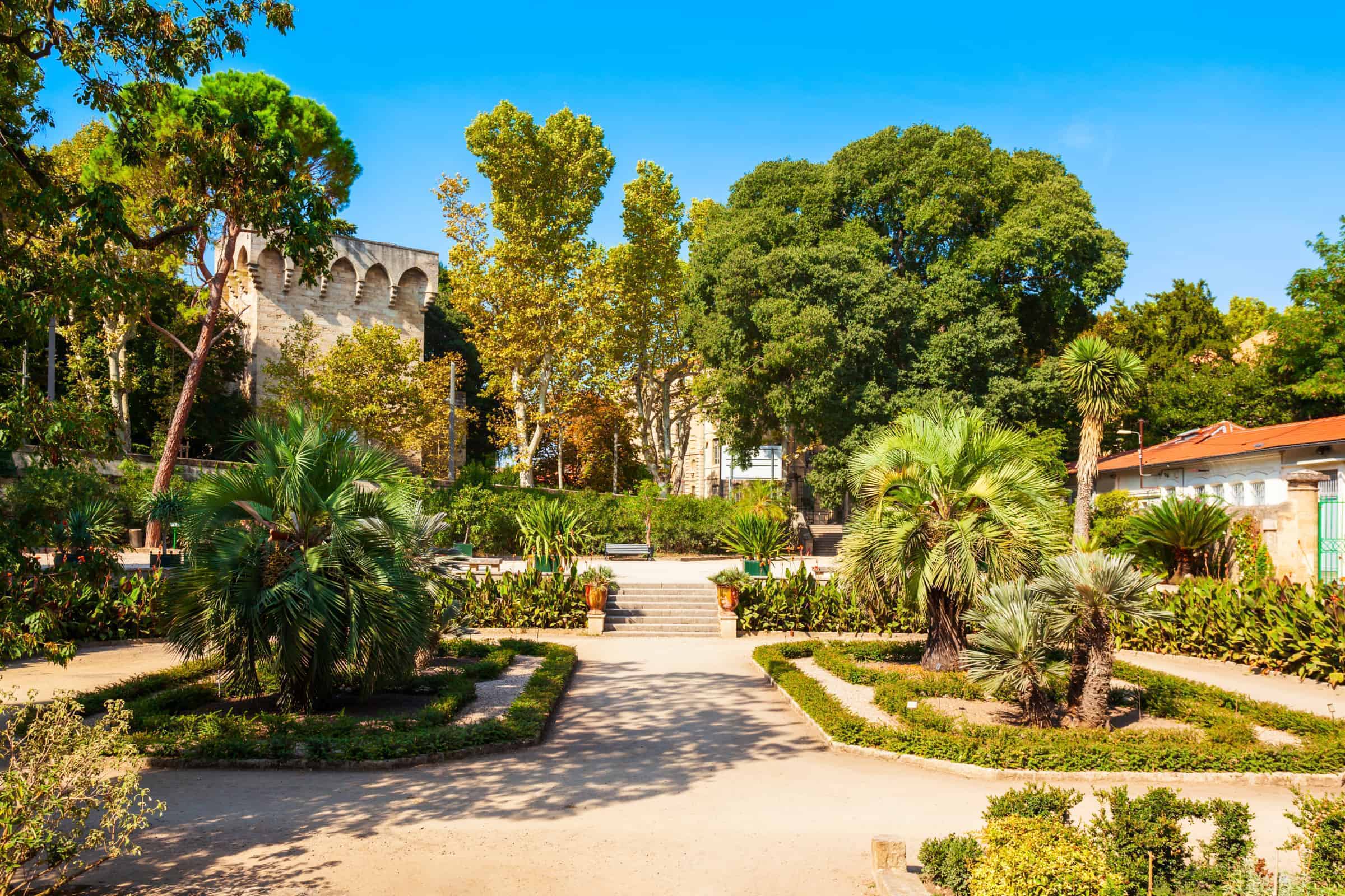 Jardin des Plantes is one of the oldest botanical gardens in Europe.