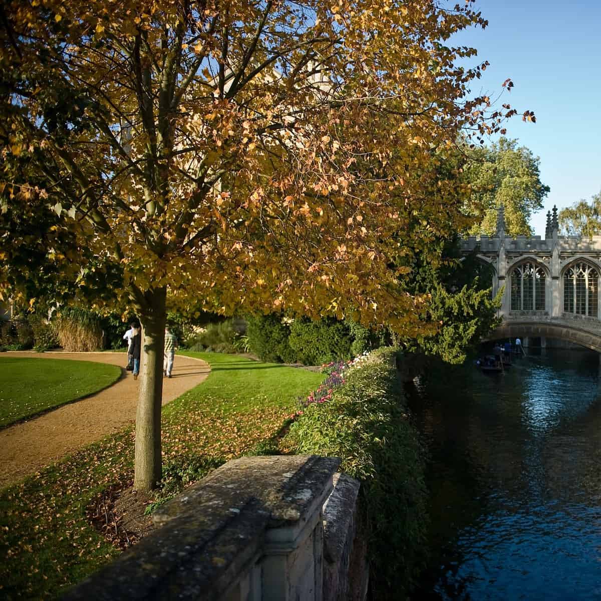 Cambridge.