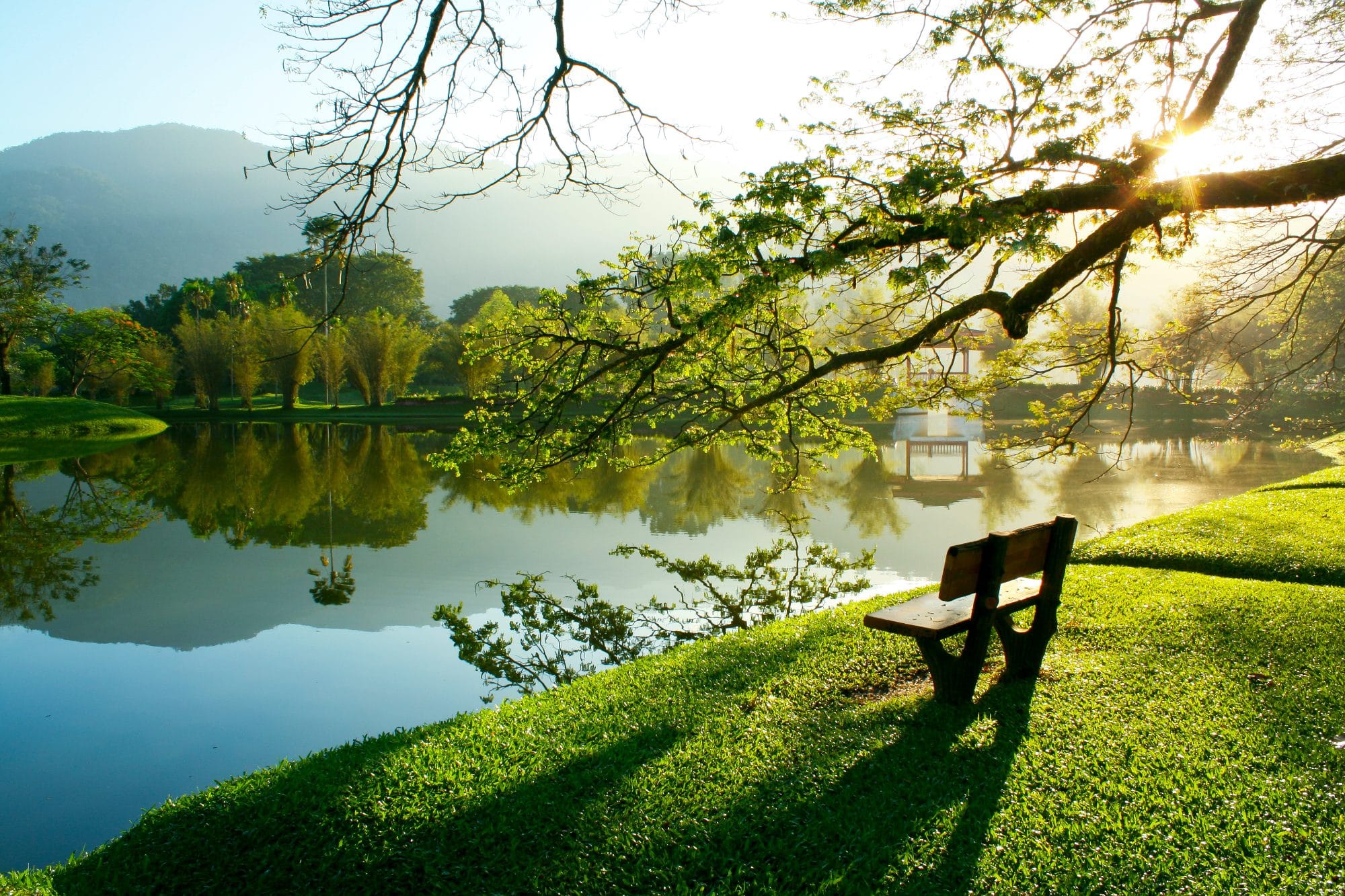 a wooden beach facing a lake in the Lake Garden in Taiping malaysia
