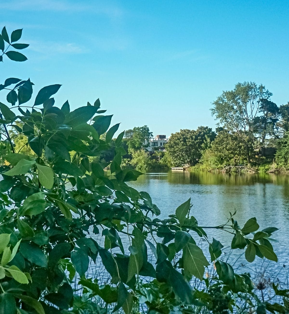 A beautiful lake in the Parque Miramar neighborhood in Canelones, Uruguay