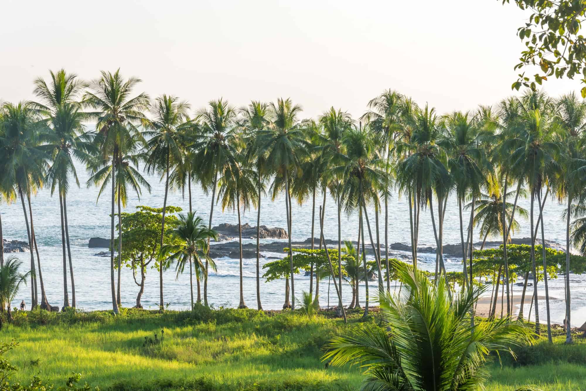 The Central Valley of Costa Rica - Playa Hermosa