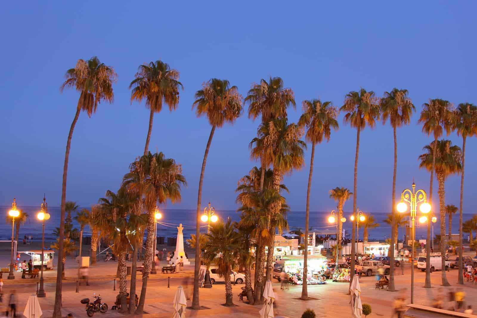 Palm Tree Beach of Larnaca