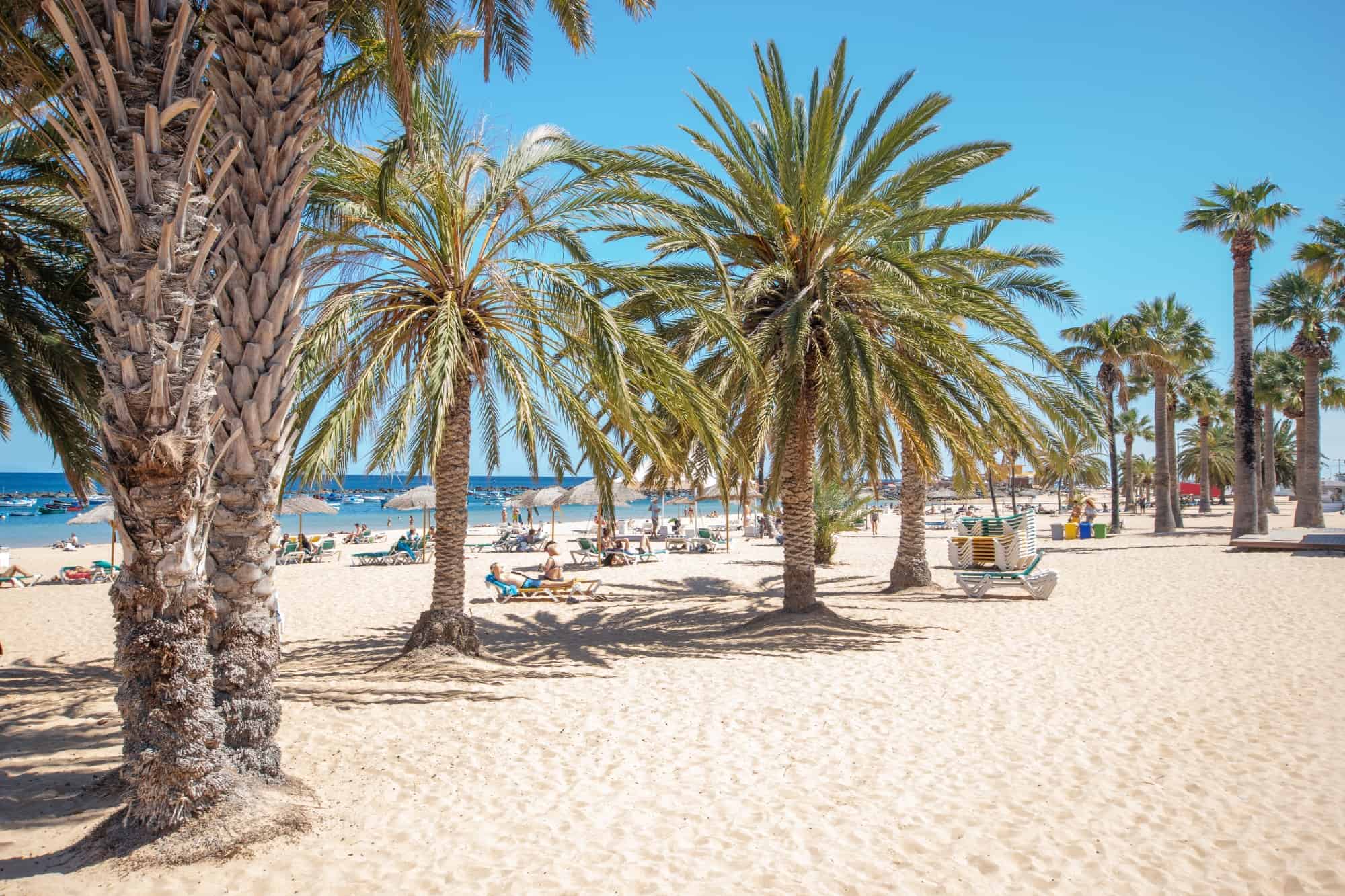 Living in the Canary islands