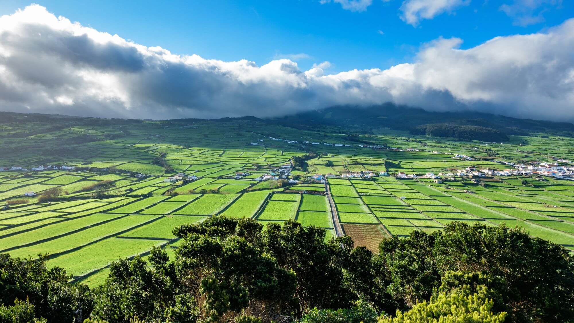 Green farm fields on the island of Terceira in the Azores