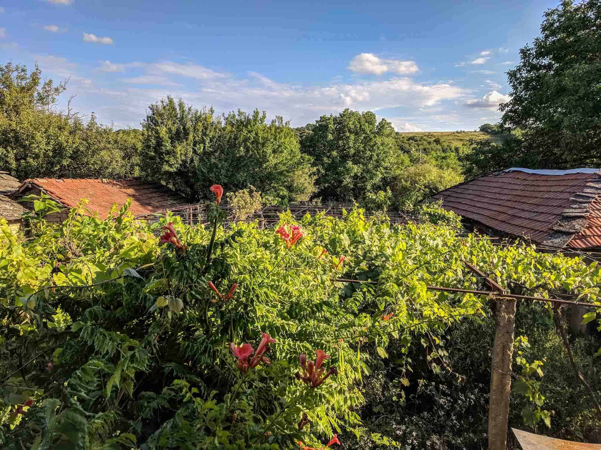 A view from the balcony