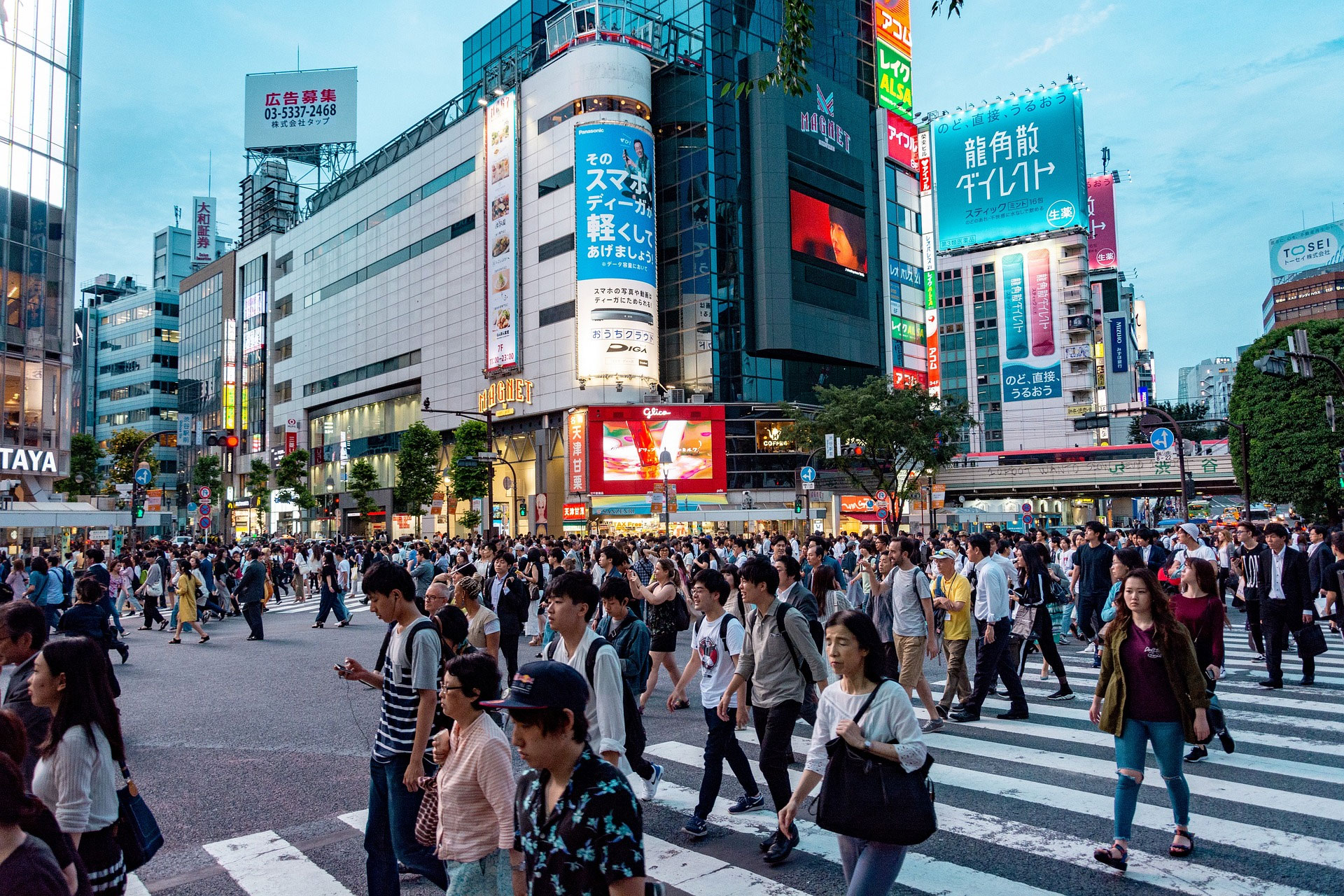 Tokyo Japan City Scene