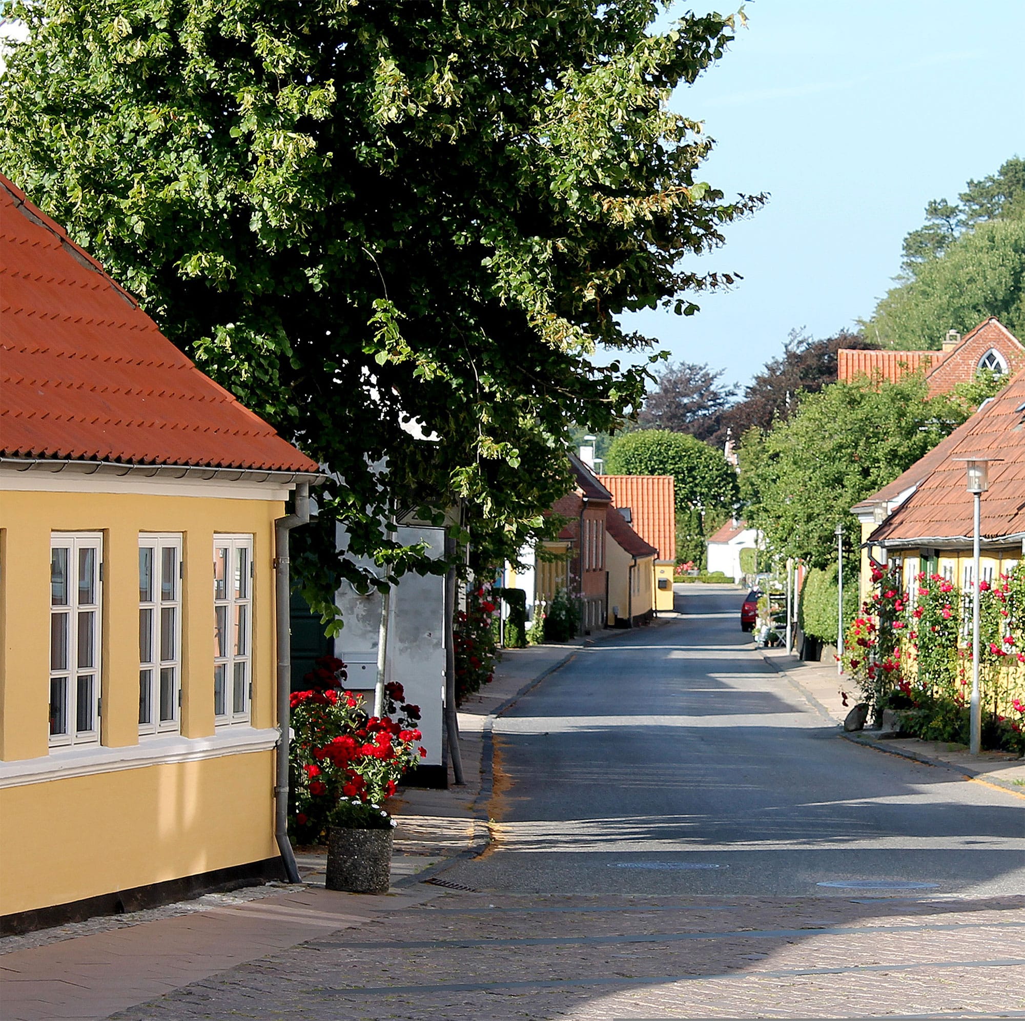Townhouses in Denmark
