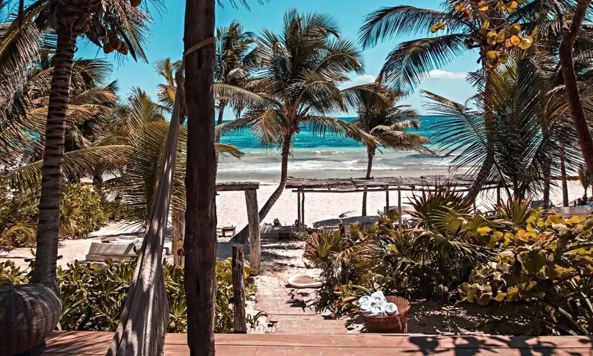A path to the beach in Tulum lined by palm tree