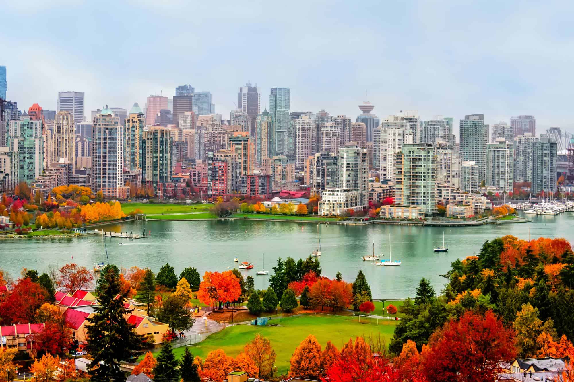 Brightly colored trees in fall in Vancouver
