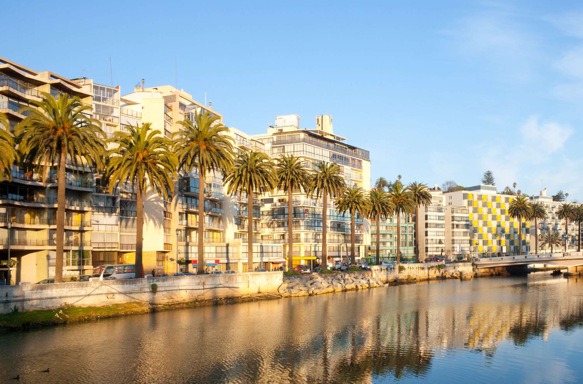 Vina del Mar embankment, palms along the waterfront, Chile