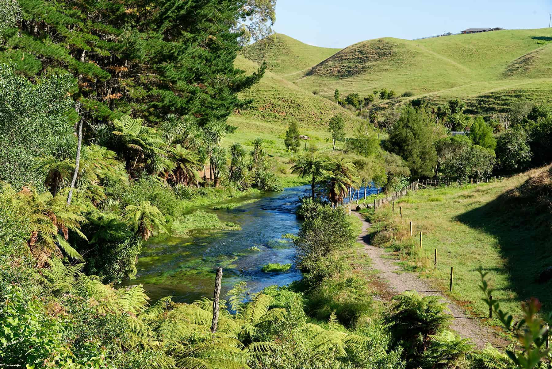 Lush green rural scenery is a big part of why living in Waikato can be so appealing.
