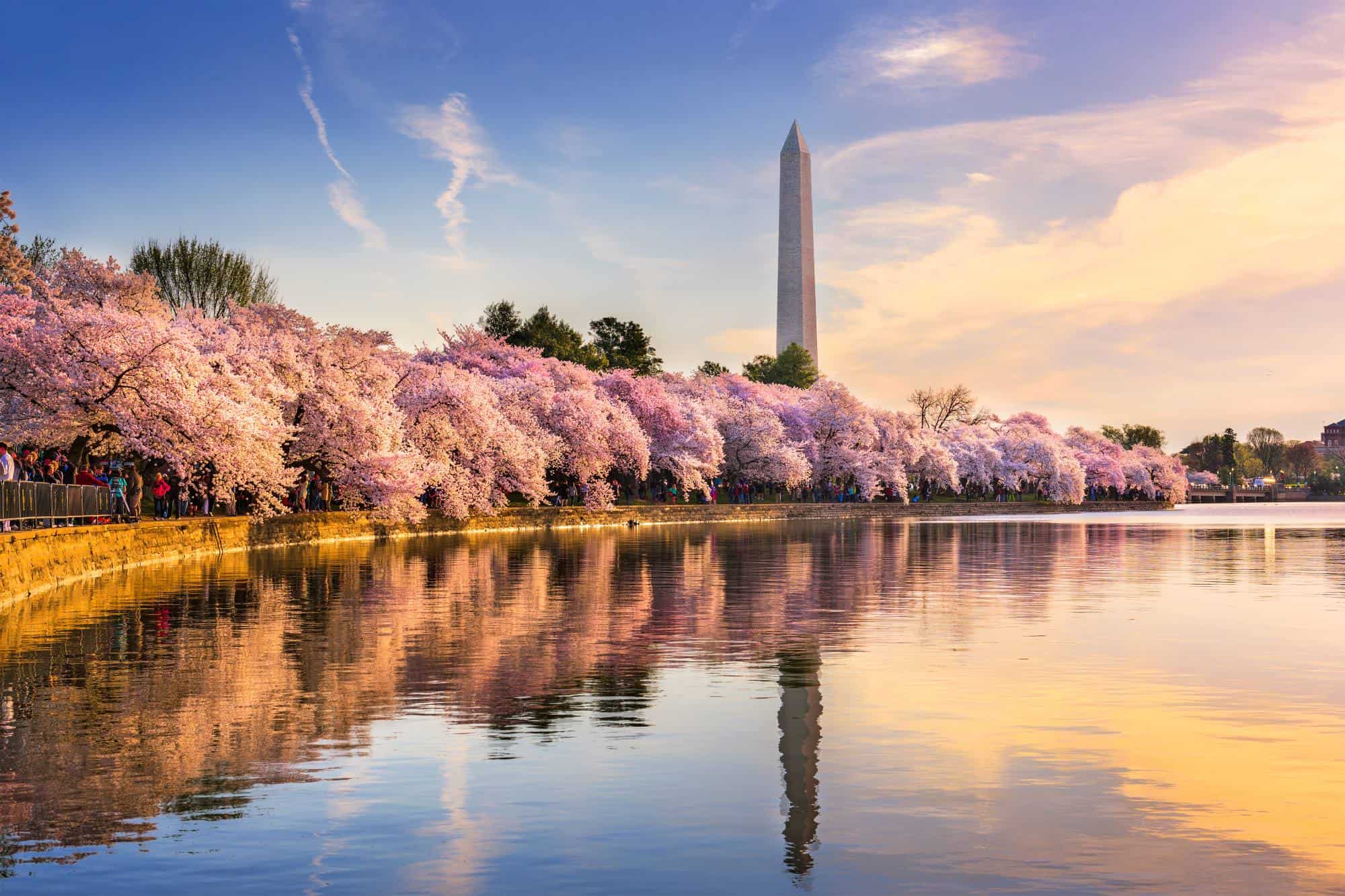 Washington, DC, in spring is spectacular.