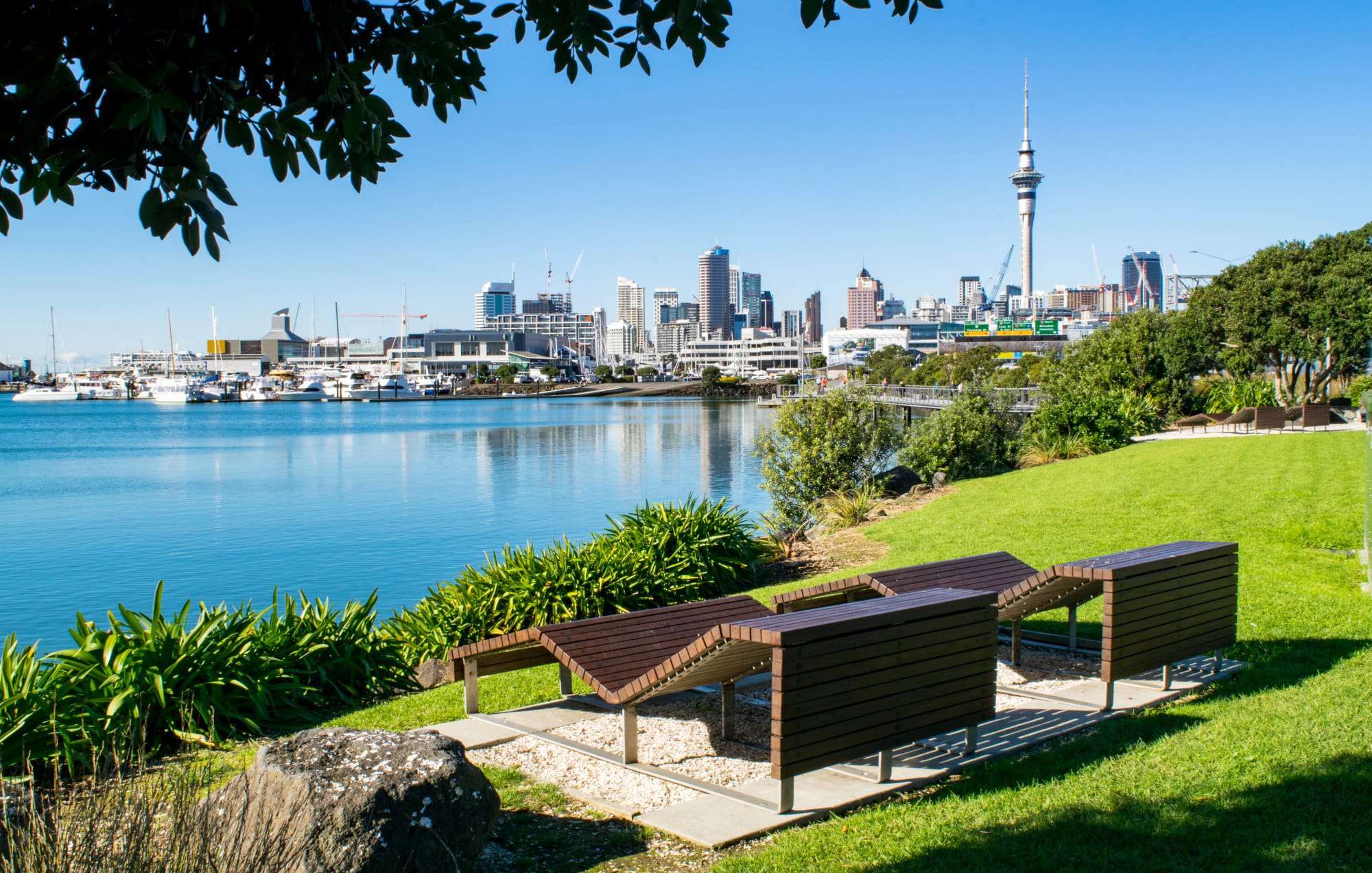 Views of the city across the water