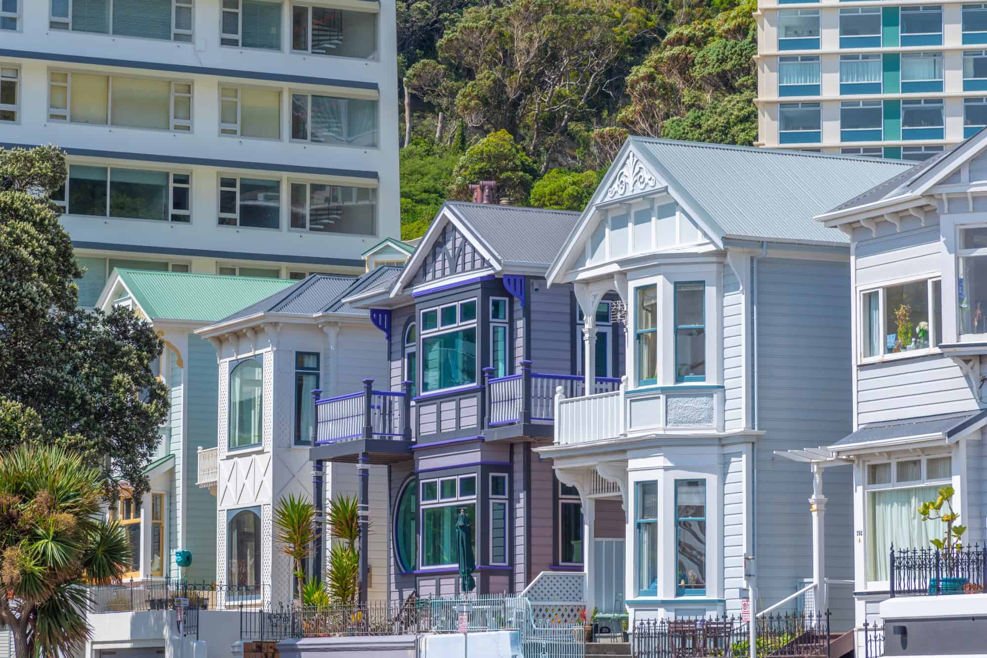 Living in Wellington - Mount Victoria