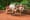 Living In Costa Rica: Essential Expat Guide