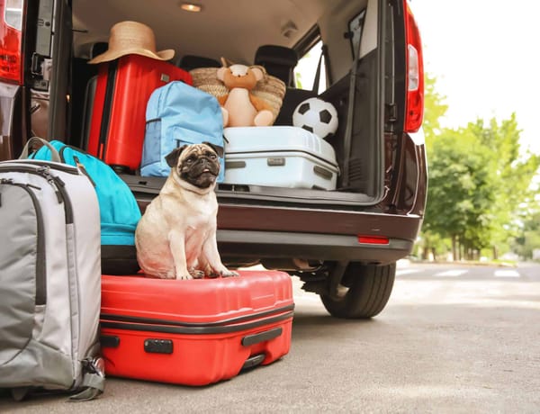 Planning & Organising Removals To Spain