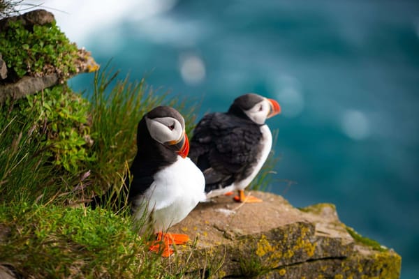 Retiring To West Wales: 9 Need-To-Knows